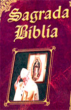 https://www.cristoraul.org/LaBiblia/Indice.html